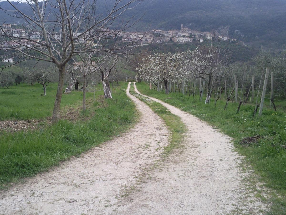 The Country Path B&B Toffia Buitenkant foto