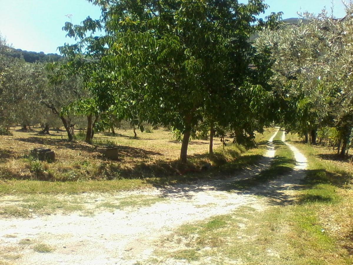 The Country Path B&B Toffia Buitenkant foto