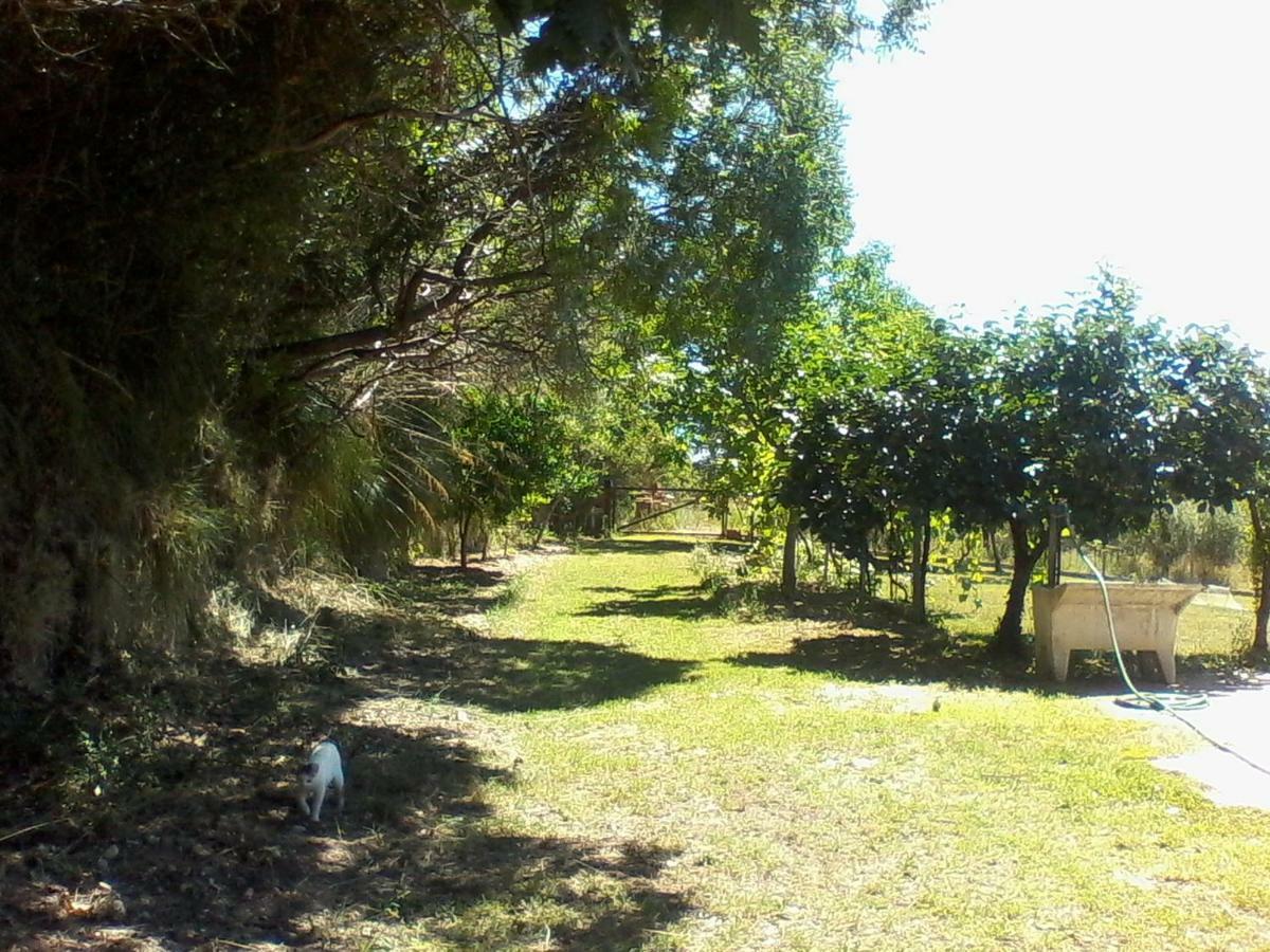 The Country Path B&B Toffia Buitenkant foto